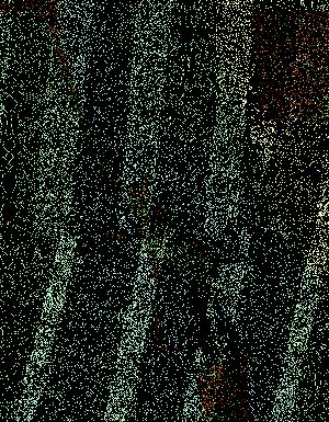 Thumbnail JPG image Thumbnail JPG image
