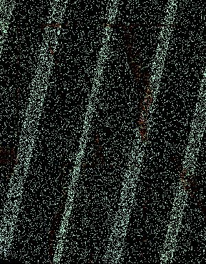 Thumbnail JPG image Thumbnail JPG image