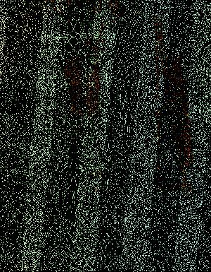 Thumbnail JPG image Thumbnail JPG image
