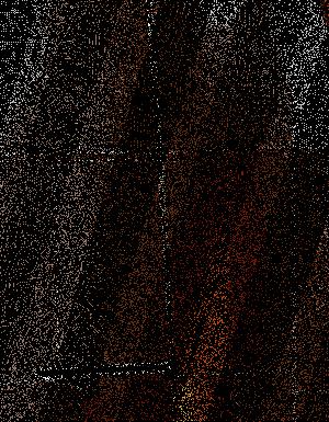 Thumbnail JPG image Thumbnail JPG image