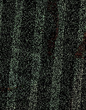 Thumbnail JPG image Thumbnail JPG image