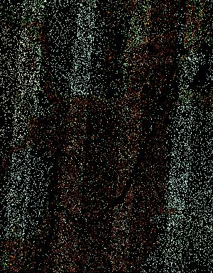 Thumbnail JPG image Thumbnail JPG image