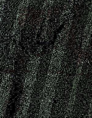 Thumbnail JPG image Thumbnail JPG image