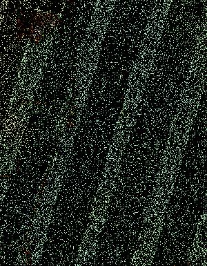 Thumbnail JPG image Thumbnail JPG image