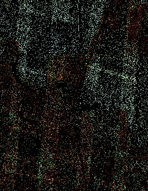 Thumbnail JPG image Thumbnail JPG image