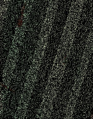 Thumbnail JPG image Thumbnail JPG image