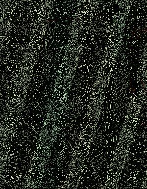 Thumbnail JPG image Thumbnail JPG image