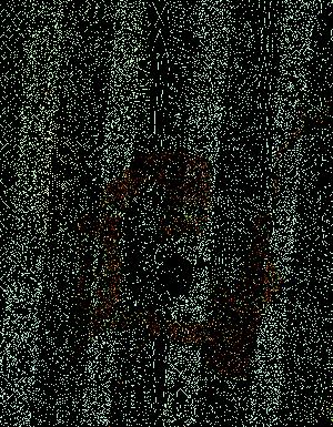 Thumbnail JPG image Thumbnail JPG image