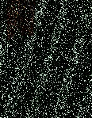 Thumbnail JPG image Thumbnail JPG image