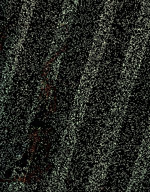 Thumbnail JPG image Thumbnail JPG image