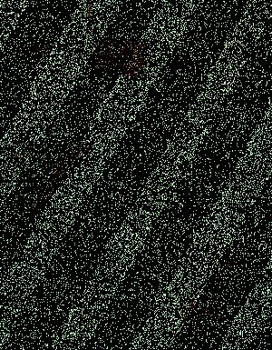 Thumbnail JPG image Thumbnail JPG image