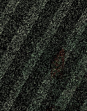 Thumbnail JPG image Thumbnail JPG image