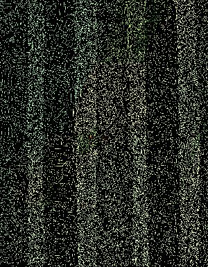 Thumbnail JPG image Thumbnail JPG image