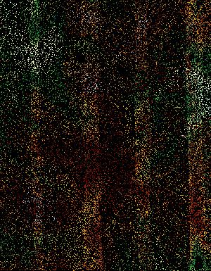 Thumbnail JPG image Thumbnail JPG image