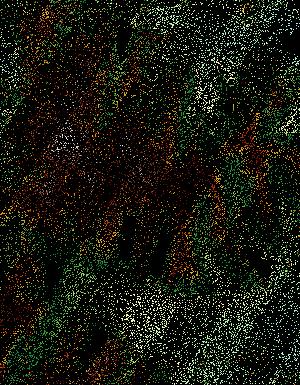 Thumbnail JPG image Thumbnail JPG image