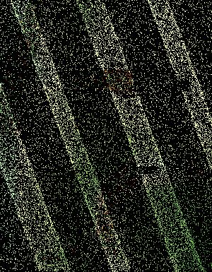 Thumbnail JPG image Thumbnail JPG image