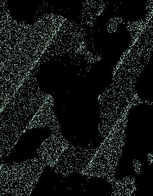 Thumbnail JPG image Thumbnail JPG image