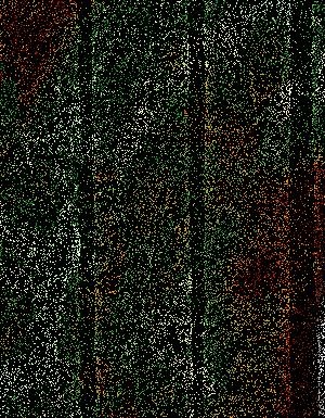 Thumbnail JPG image Thumbnail JPG image