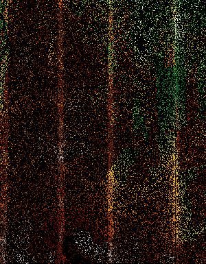 Thumbnail JPG image Thumbnail JPG image