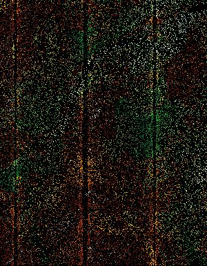 Thumbnail JPG image Thumbnail JPG image
