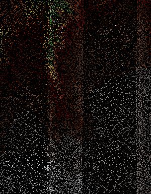 Thumbnail JPG image Thumbnail JPG image