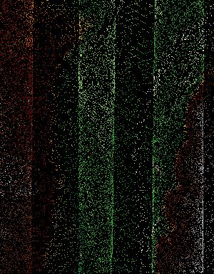 Thumbnail JPG image Thumbnail JPG image