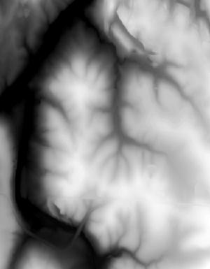 Thumbnail JPG image Thumbnail JPG image
