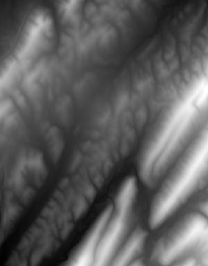 Thumbnail JPG image Thumbnail JPG image