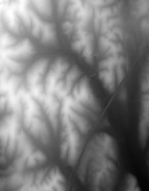 Thumbnail JPG image Thumbnail JPG image