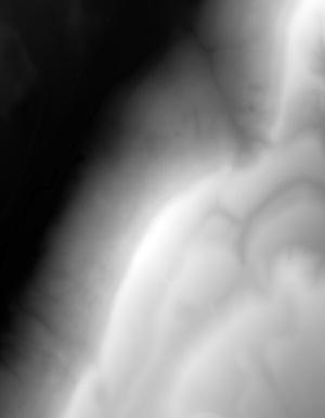 Thumbnail JPG image Thumbnail JPG image