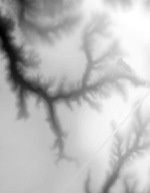 Thumbnail JPG image Thumbnail JPG image