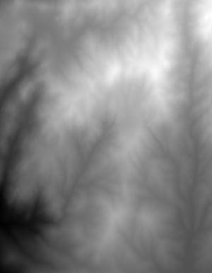 Thumbnail JPG image Thumbnail JPG image