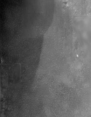 Thumbnail JPG image Thumbnail JPG image