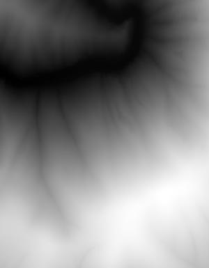 Thumbnail JPG image Thumbnail JPG image