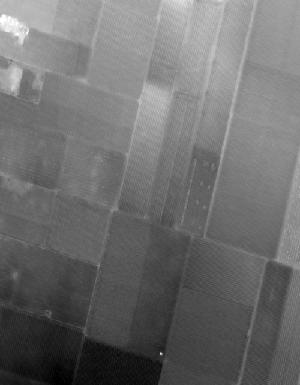 Thumbnail JPG image Thumbnail JPG image