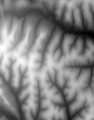 Thumbnail JPG image Thumbnail JPG image
