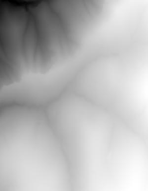 Thumbnail JPG image Thumbnail JPG image