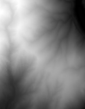 Thumbnail JPG image Thumbnail JPG image