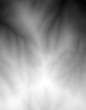 Thumbnail JPG image Thumbnail JPG image