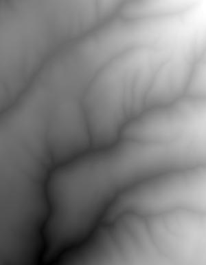 Thumbnail JPG image Thumbnail JPG image