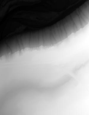 Thumbnail JPG image Thumbnail JPG image