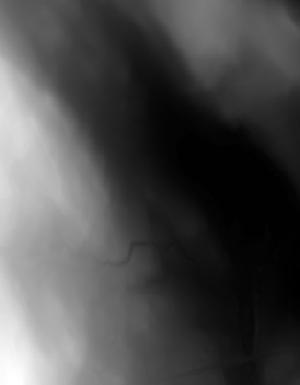 Thumbnail JPG image Thumbnail JPG image