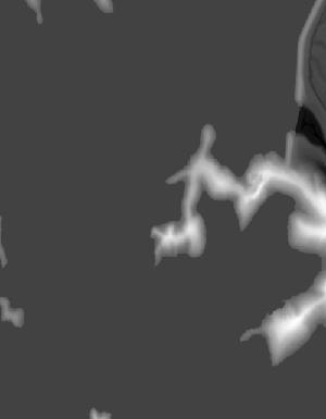 Thumbnail JPG image Thumbnail JPG image