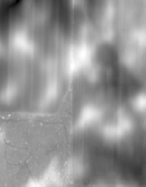 Thumbnail JPG image Thumbnail JPG image