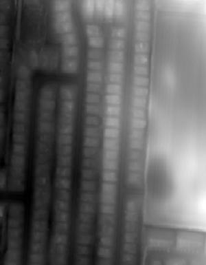 Thumbnail JPG image Thumbnail JPG image