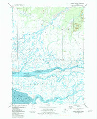 preview thumbnail of historical topo map of Alaska, United States in 1983