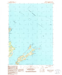 Topo map Kodiak D-1 SW Alaska