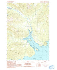 Download a high-resolution, GPS-compatible USGS topo map for Petersburg C-3 SE, AK (1992 edition)