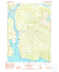 Download a high-resolution, GPS-compatible USGS topo map for Petersburg C-3 SW, AK (1992 edition)