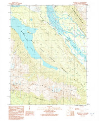 Download a high-resolution, GPS-compatible USGS topo map for Skagway B-3 SE, AK (1991 edition)